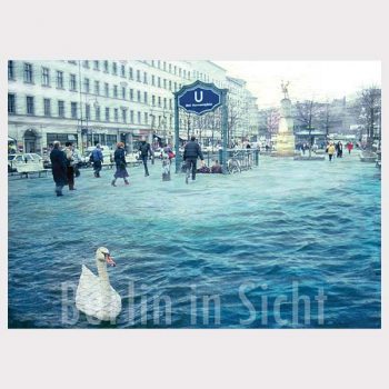 Postkarte Schwanensee Neukölln