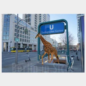 Postkarte Zoobesuch
