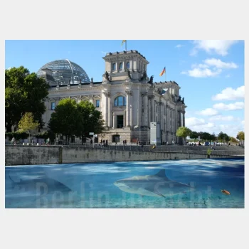 Postkarte Shark Bay Berlin