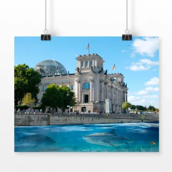 Poster Shark Bay Berlin